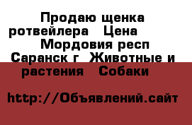 Продаю щенка ротвейлера › Цена ­ 20 000 - Мордовия респ., Саранск г. Животные и растения » Собаки   